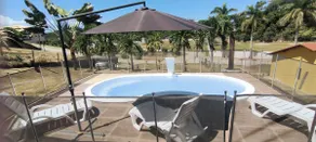 Recanto das Palmeiras (Palm Trees Corner) - Image 3