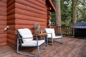 Cozy Mountain Getaway! Main Cabin+Bunkhouse - Image 5
