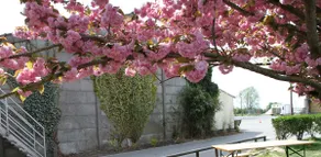 Entire place: Apartment - Image 5