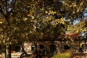 Discover the beauty and peace of the countryside - Image 5