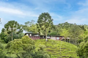 Altos das Araucárias - one place, great moments! - Image 5