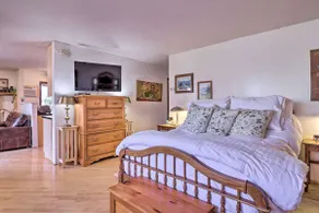 The WCU “Catamount Gap Studio” apartment - Image 5