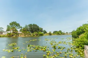 Remodeled 3B/2B with Pond & Deck - Image 3