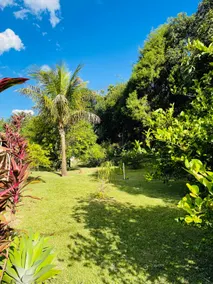 Country house in Analândia - Image 2