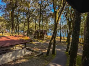 Simple stay in a bungalow like a tree house - Image 4