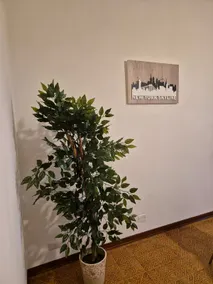 Il brigidino - Image 5