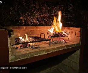 The Casuarinas of Dique Luján - Image 5