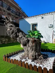Casa Postiguillo - Image 4