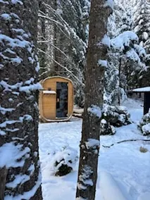 The MT Nest - Image 2