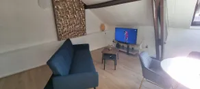 The Max de l'Eden - cozy apartment close to the center - Image 4