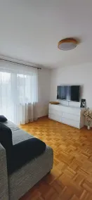 Noria - Apartment Europa-Park, Golf Club & Freiburg - Image 4