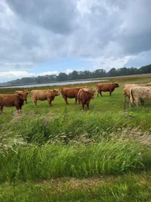 Drents moment - Image 4