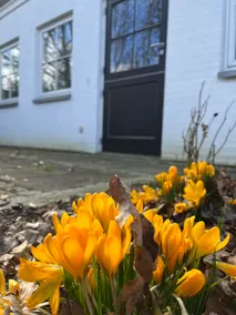 Anemone House - Image 3