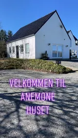 Anemone House - Image 2