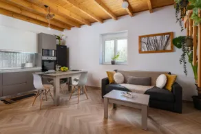 Kostas Nest - Image 2