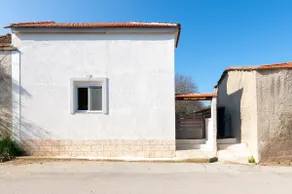 Kostas Nest - Image 3
