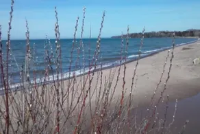 Lake Superior Cottages-Herbster ”Wren” - Image 3