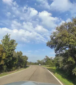 Silvana campo y ciudad - Image 4