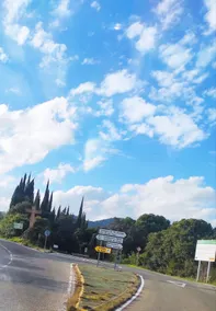 Silvana campo y ciudad - Image 3