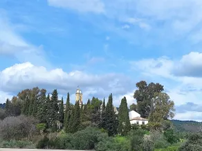 Silvana campo y ciudad - Image 5