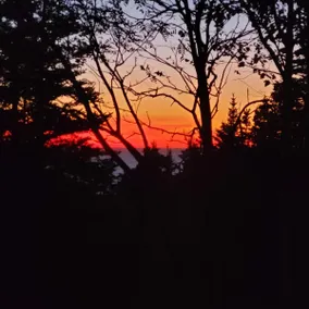 Zen Shack Gratitude - Image 5