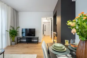 Superb 2BR Flat - Cismigiu Gardens - Terrace - Image 4