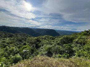 View of the Amazon KM 32 - Image 5