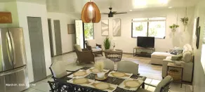 Tropical Paradise! - Image 3