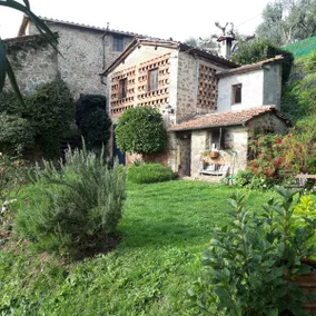 Orto dei Bruchi - Image 4