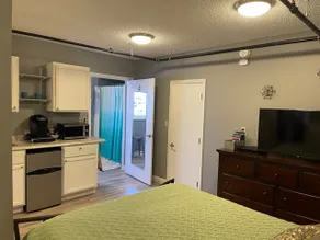 Downtown Traverse City Studio Apartment (unit B) - Image 5