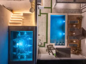 Casa Cactus - Image 5