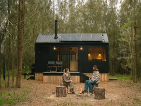 Designer Off-Grid Cabin Hidden in the Vines - Image 5