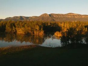 Designer Off-Grid Cabin Hidden in the Vines - Image 3