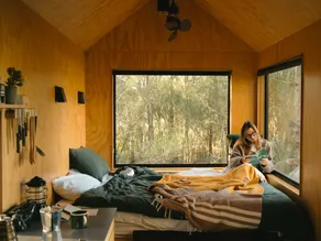Designer Off-Grid Cabin Hidden in the Vines - Image 2