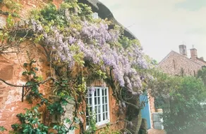 Quaint Grade II thatched cottage - Image 4