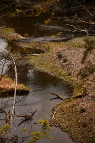 'The Hide' - luxury eco cabin on the Mary River - Image 4