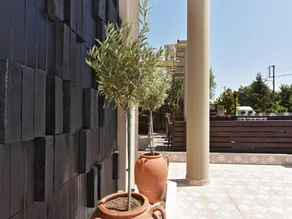 Eleon Studios by TravelPro Services Olynthos Halkidiki - Image 3