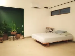 A small oasis - Image 2