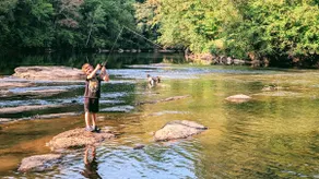 Riversong Cabin - Image 5
