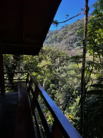 Unique eco-cabin inside cloudforest | Jungle lodge - Image 5