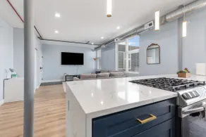 Spacious Apartment 13 miles from Chicago - Image 4