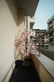 Royal nest - Image 4