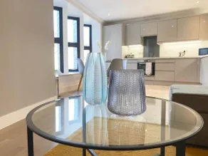 Modern & Stylish 2 Bedroom 2 Bath Apartments in Rochester - Image 3