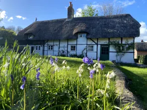 The White Cottage, Tichborne - Image 3