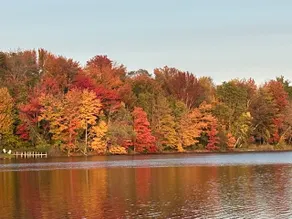 Locke Lake A-Frame - Image 2