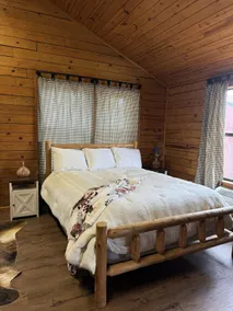 Log Cabin - Image 2