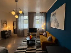 Small zebra - Image 2