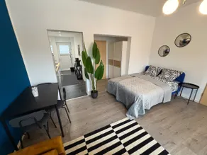 Small zebra - Image 3