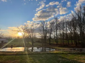 Lake Cumberland Pond View - Image 5