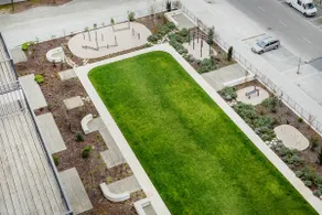 Antas Green Select - Image 5